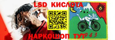 ALPHA PVP Канаш