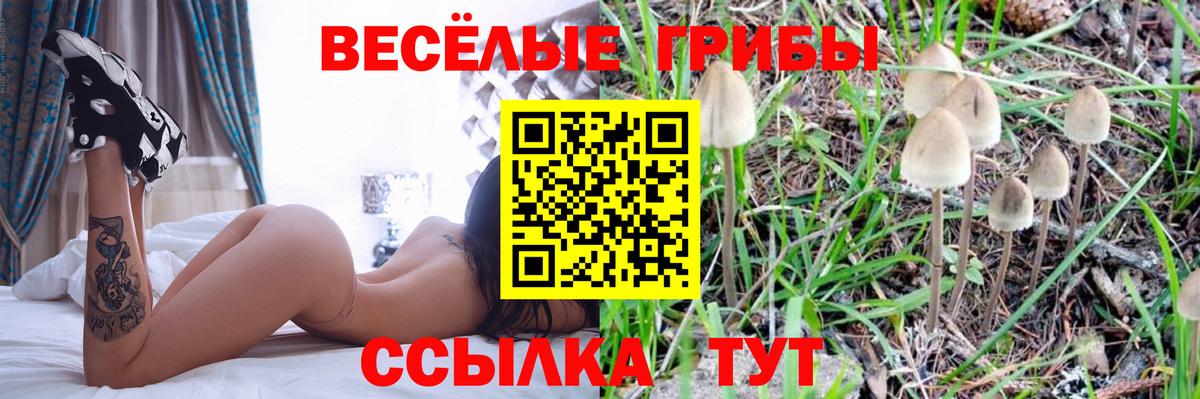 Отрадный  Псилоцибиновые грибы мицелий  Вход с VPN 